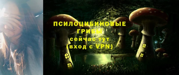 гидропоника Лабытнанги