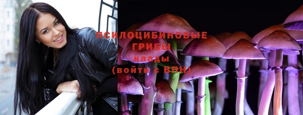 тгк Липки