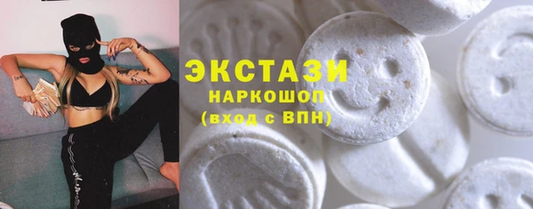 ECSTASY Лагань