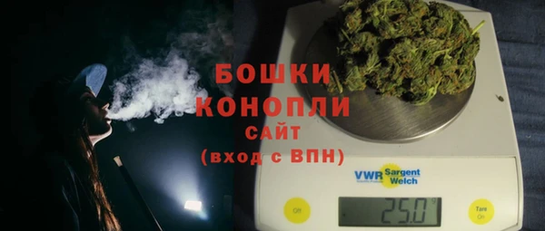 ECSTASY Лагань