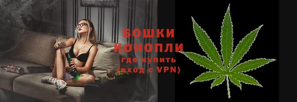 ECSTASY Лагань