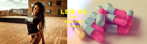 ECSTASY Лагань