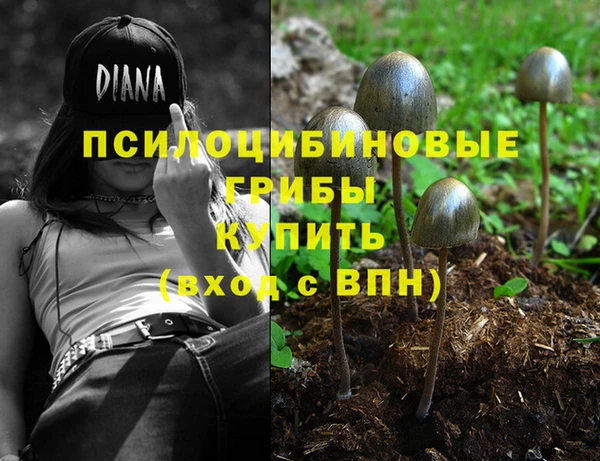 гидропоника Лабытнанги