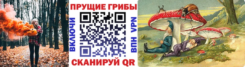 Галлюциногенные грибы MAGIC MUSHROOMS  Купить где  Шенкурск 